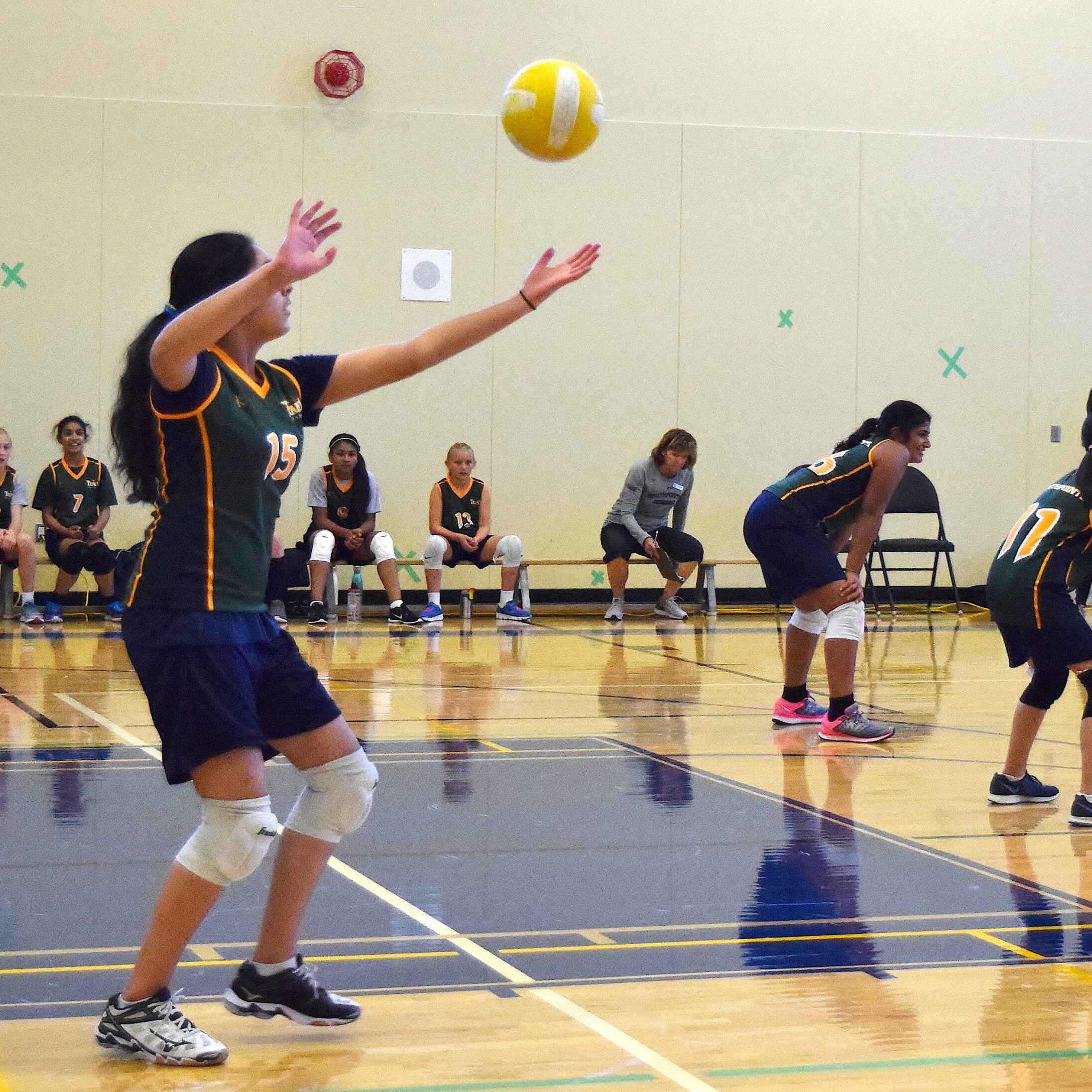 Gr7volleyball